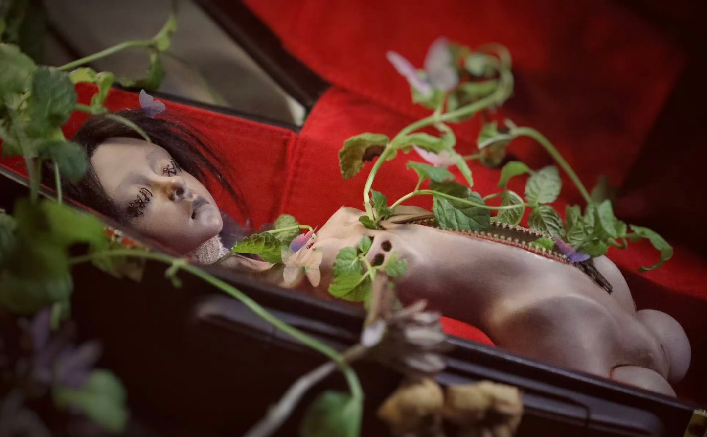 Art Doll - Olivia - not for sale