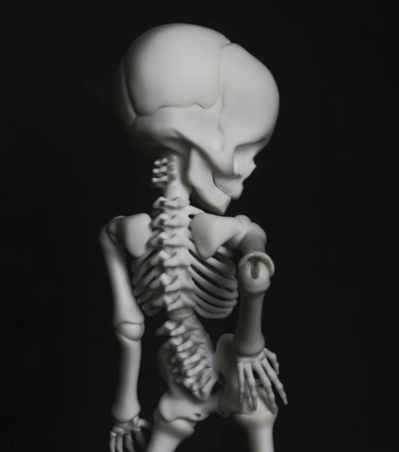 1/6 Special Size - Little Skeleton