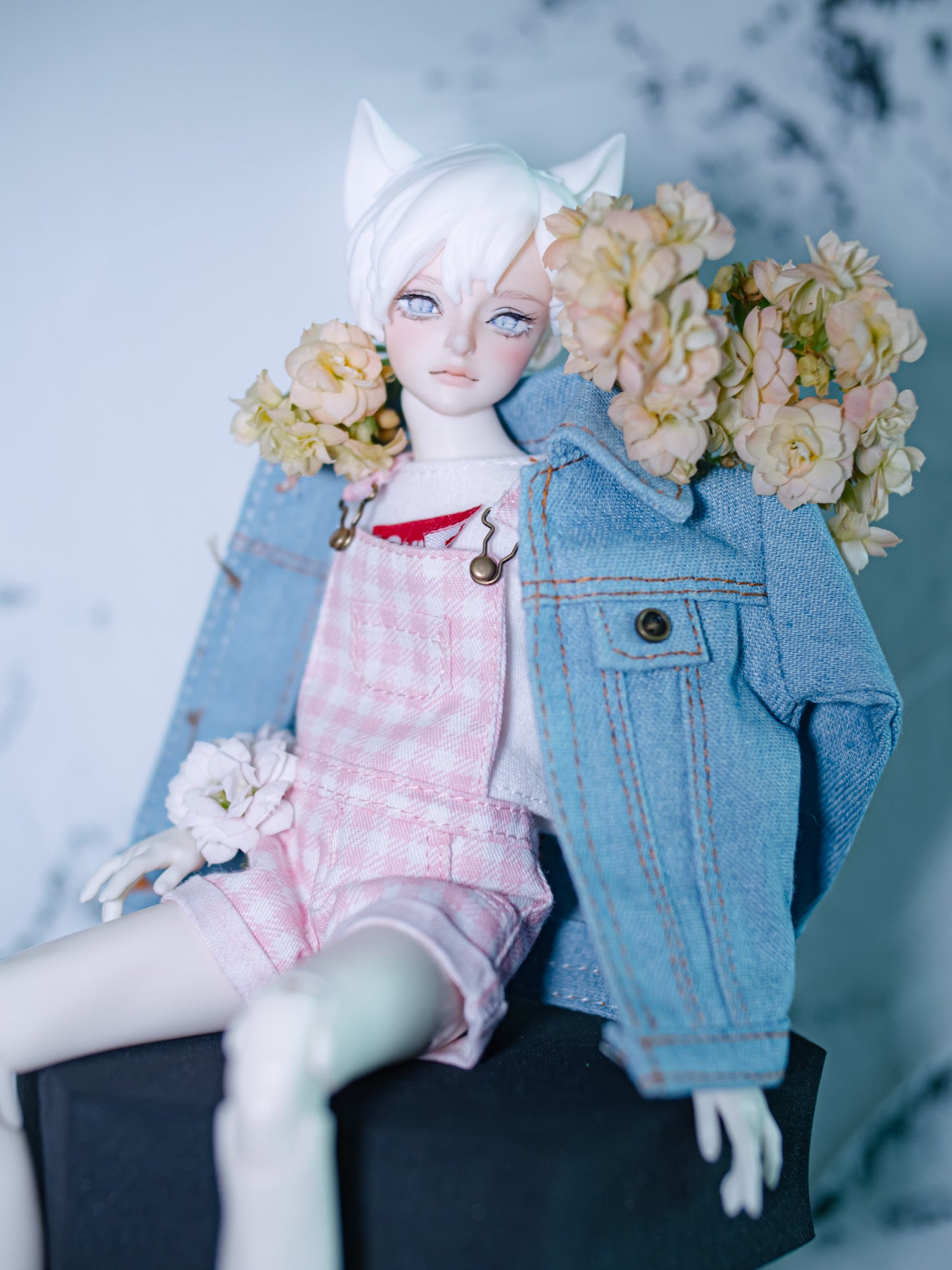 27cm BJD - Little Sai
