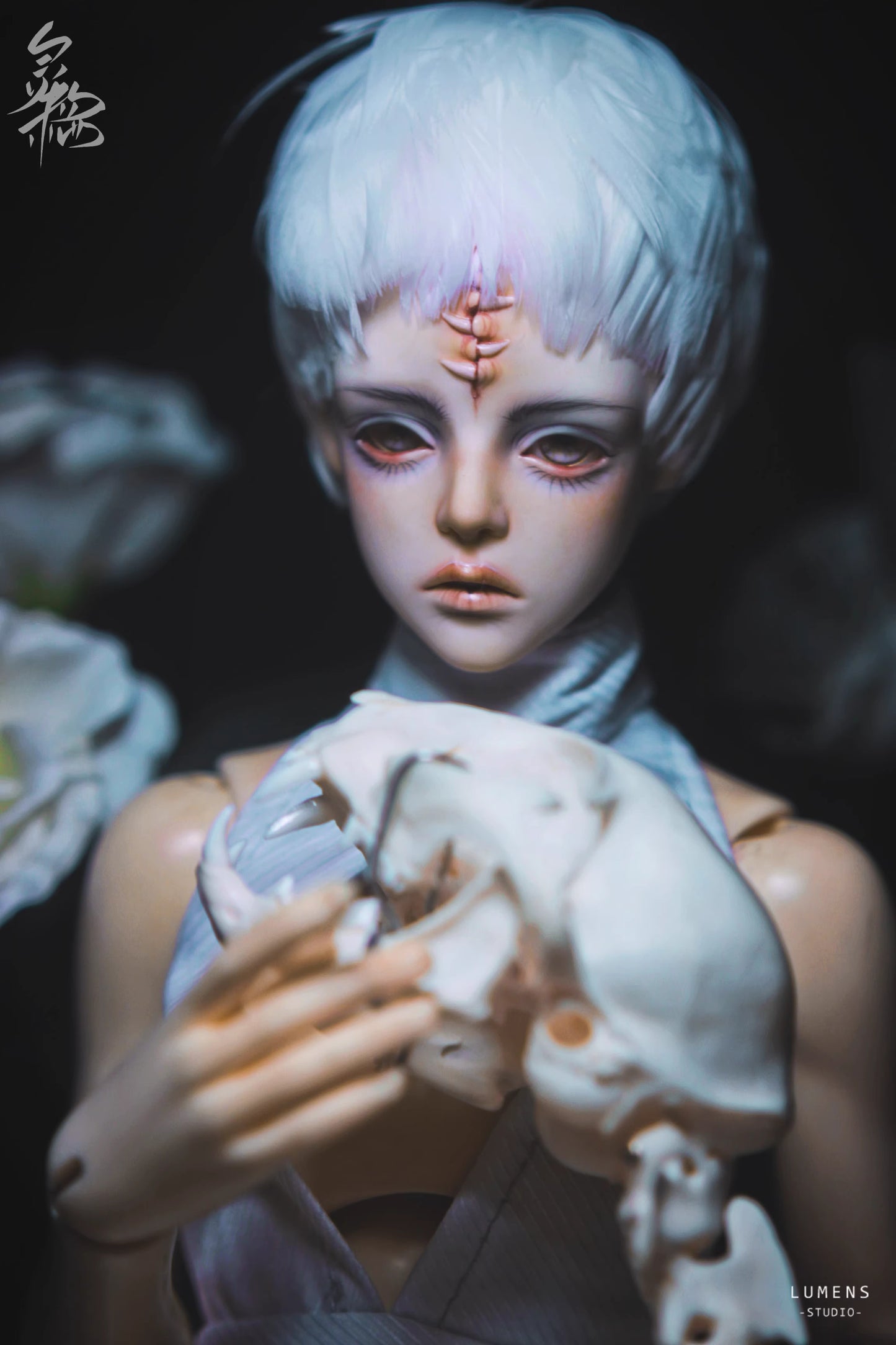 68cm BJD - Pathosis