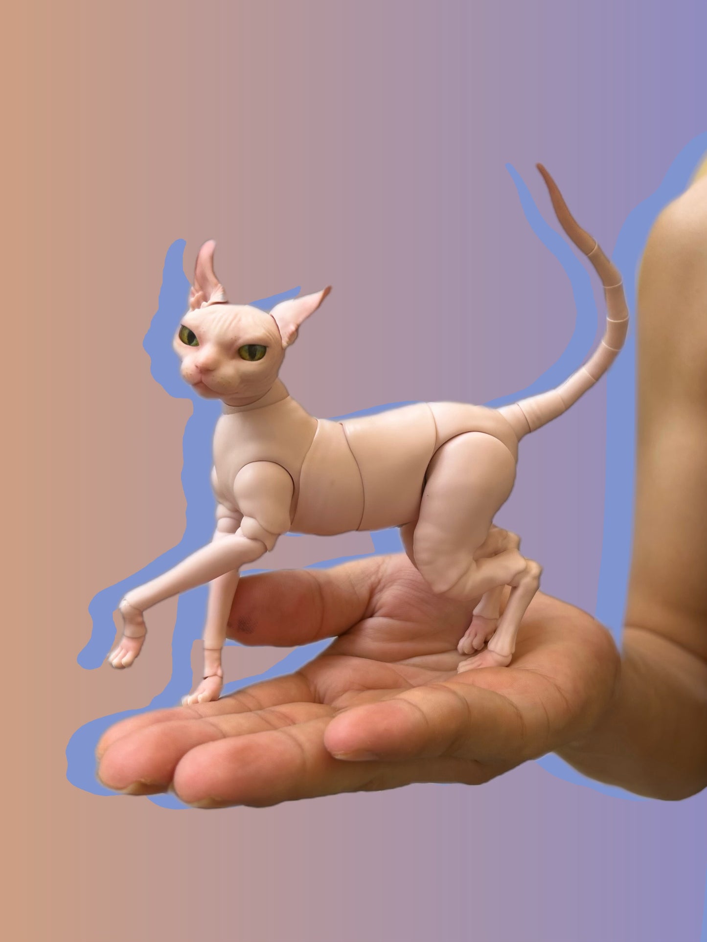 BJD Pet - Sphinx cat