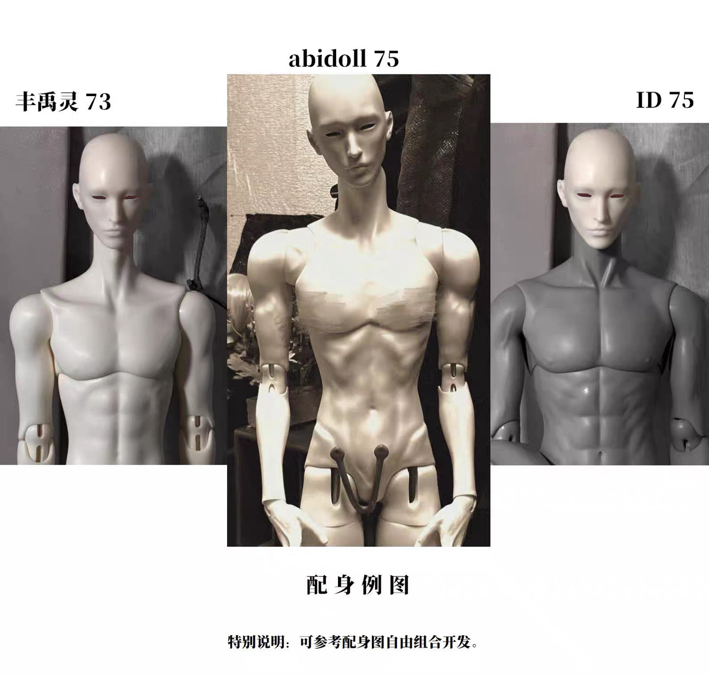 75cm BJD - S21 Marais