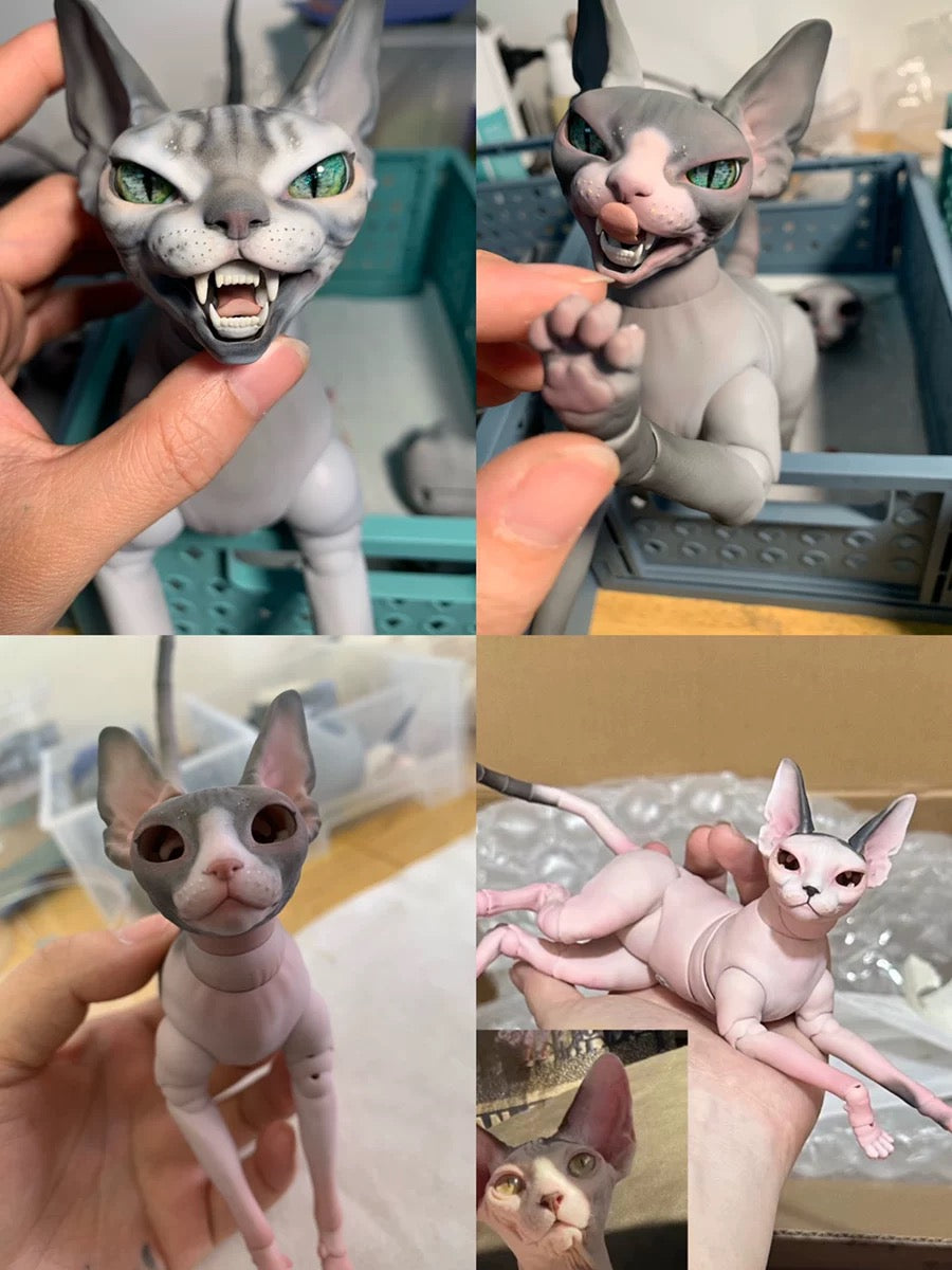 BJD Pet - Sphinx cat