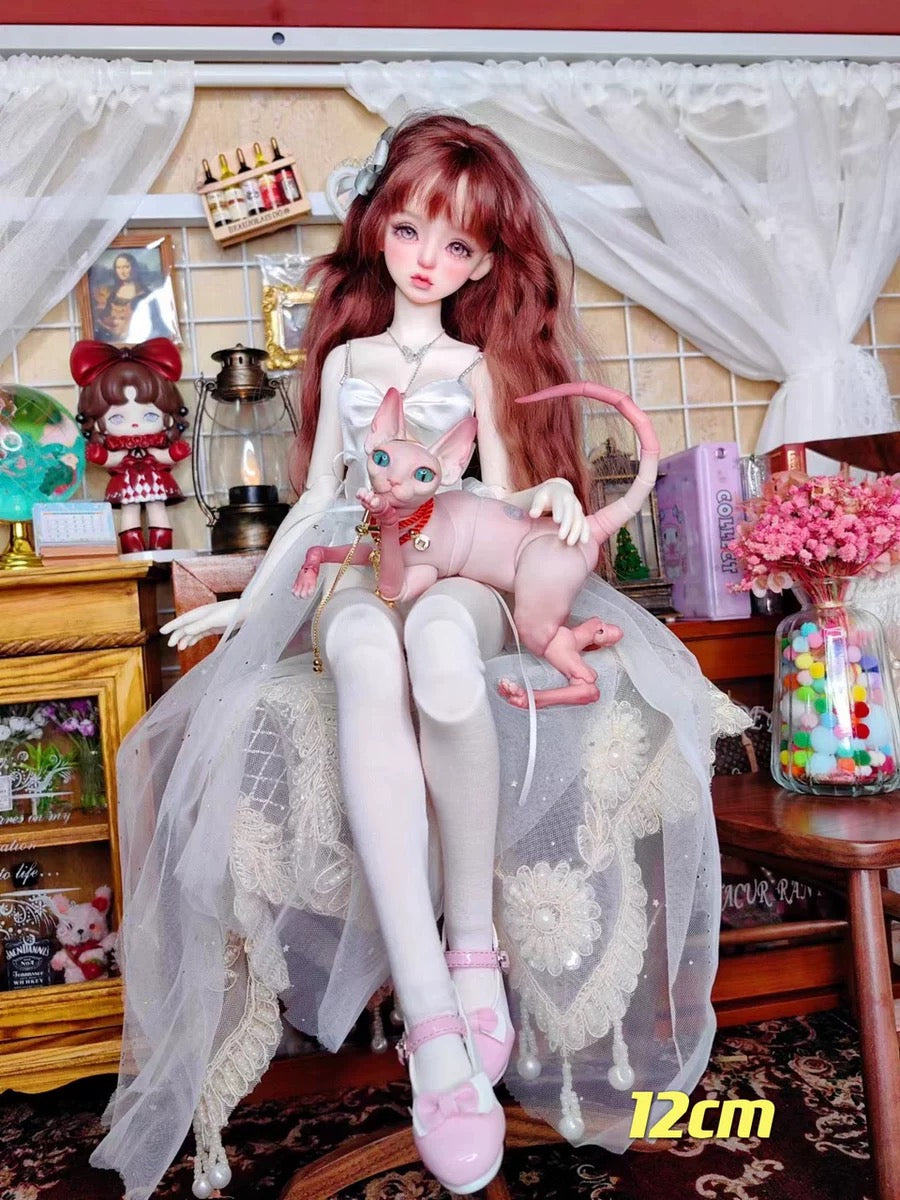 BJD Pet - Sphinx cat