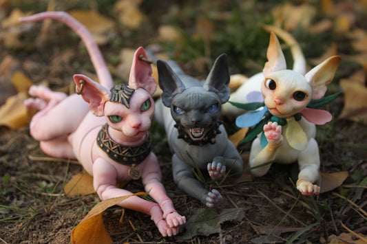 BJD Pet - Sphinx cat