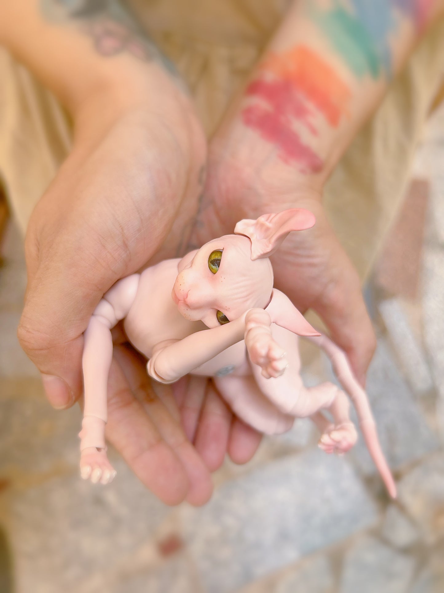 BJD Pet - Sphinx cat