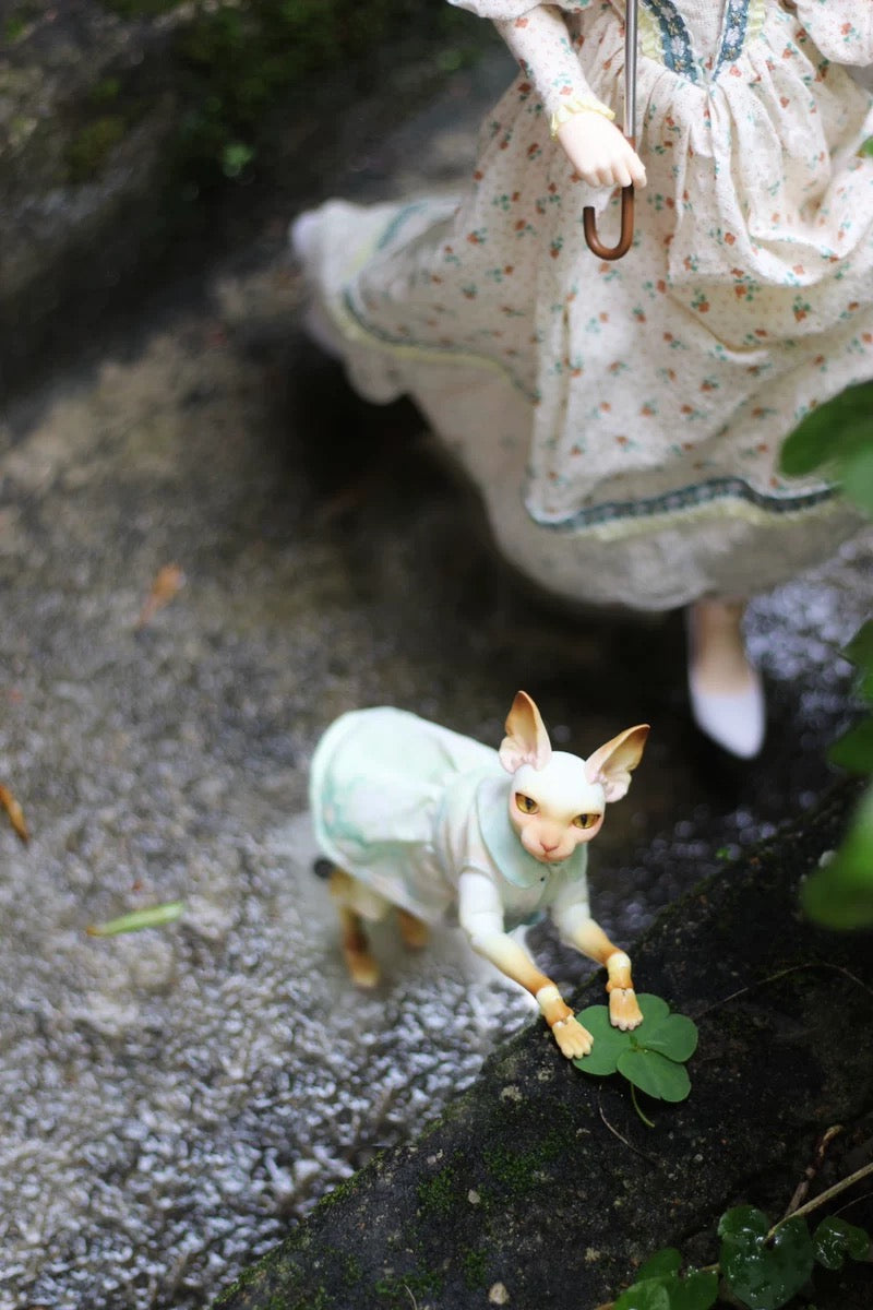 BJD Pet - Sphinx cat