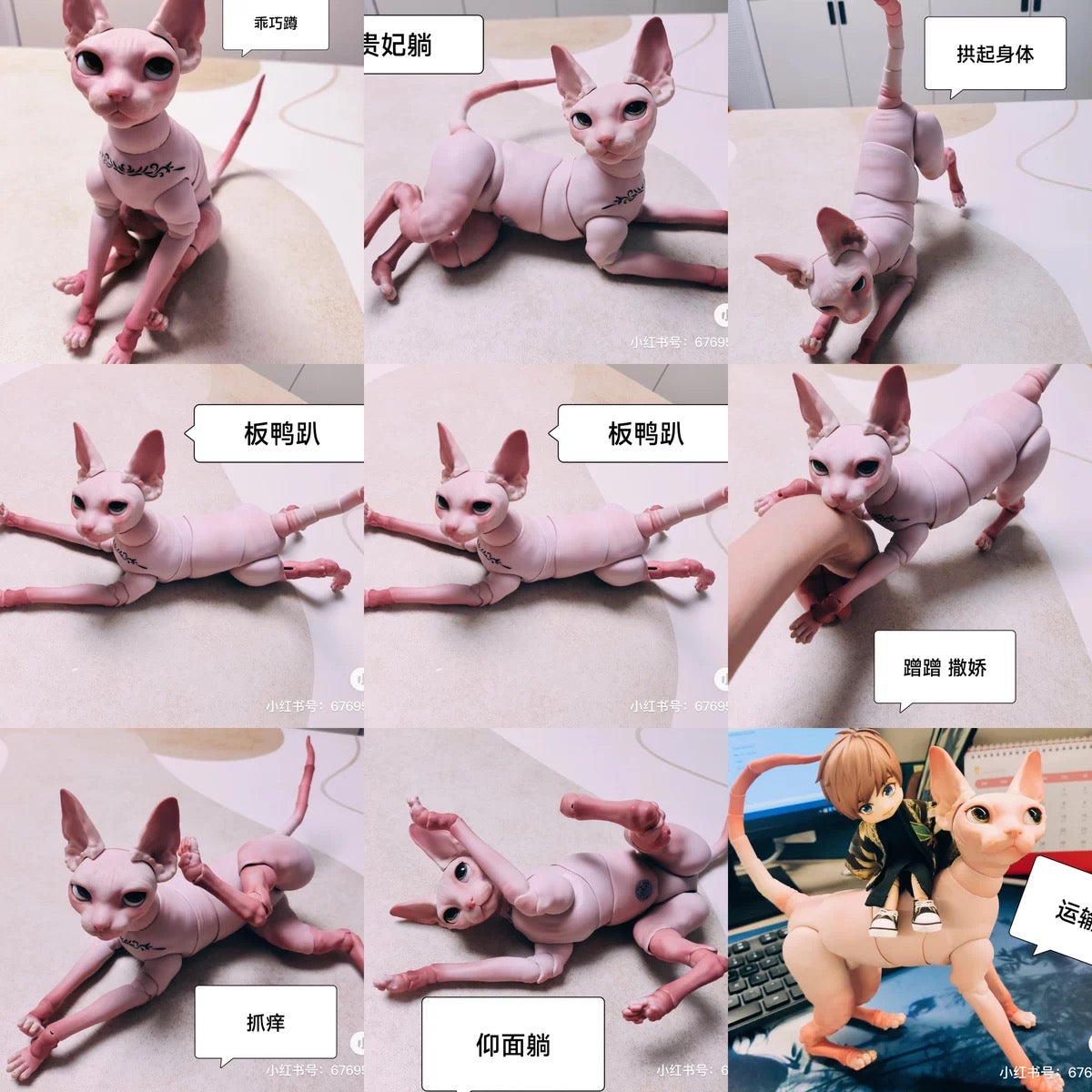 BJD Pet - Sphinx cat