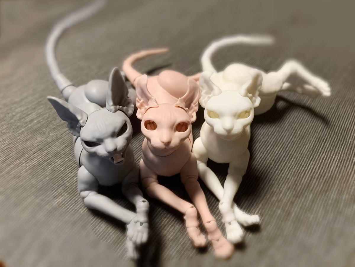 BJD Pet - Sphinx cat